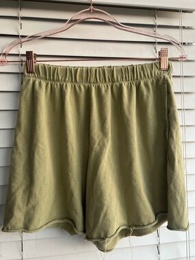 Aerie Shorts